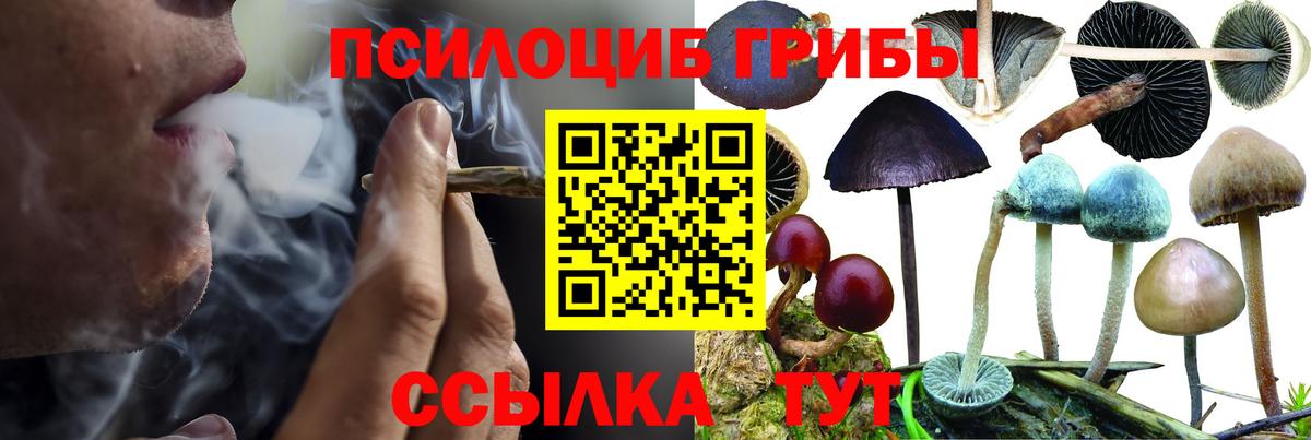 Кольчугино  Галлюциногенные грибы мухоморы  Вход с VPN  Галлюциногенные грибы мухоморы 