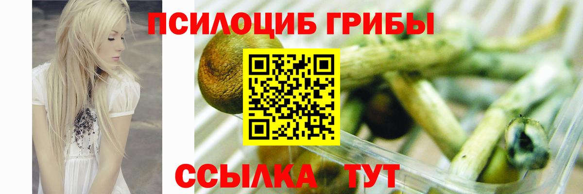 Каннабис Кольчугино